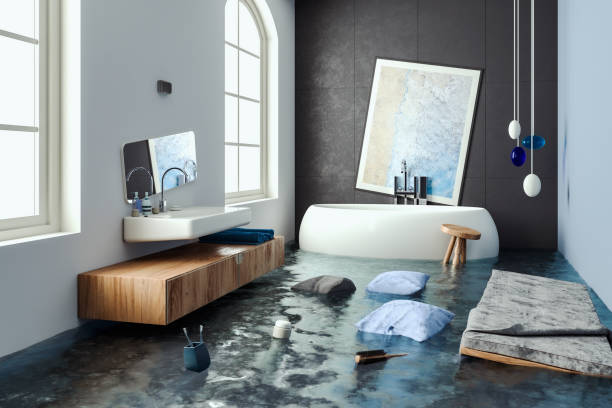 Best Mold removal after water damage  in Oroville, CA