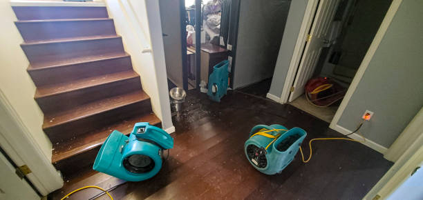 Best 24/7 water damage repair  in Oroville, CA