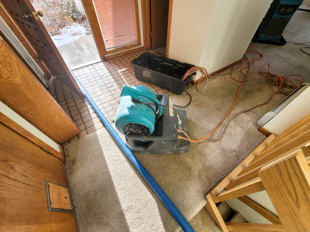 Best Water damage cleanup near me  in Oroville, CA