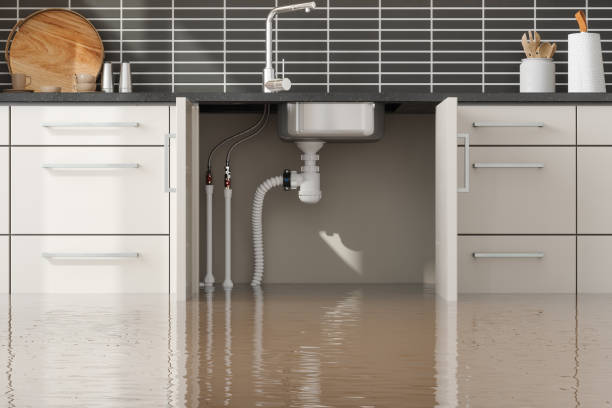 Best Carpet water damage restoration  in Oroville, CA